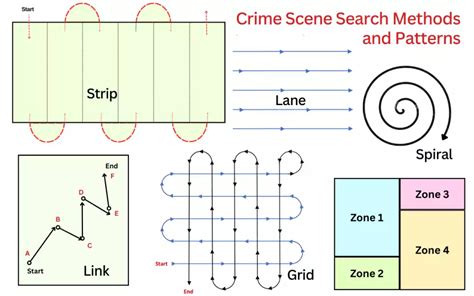 scene Search